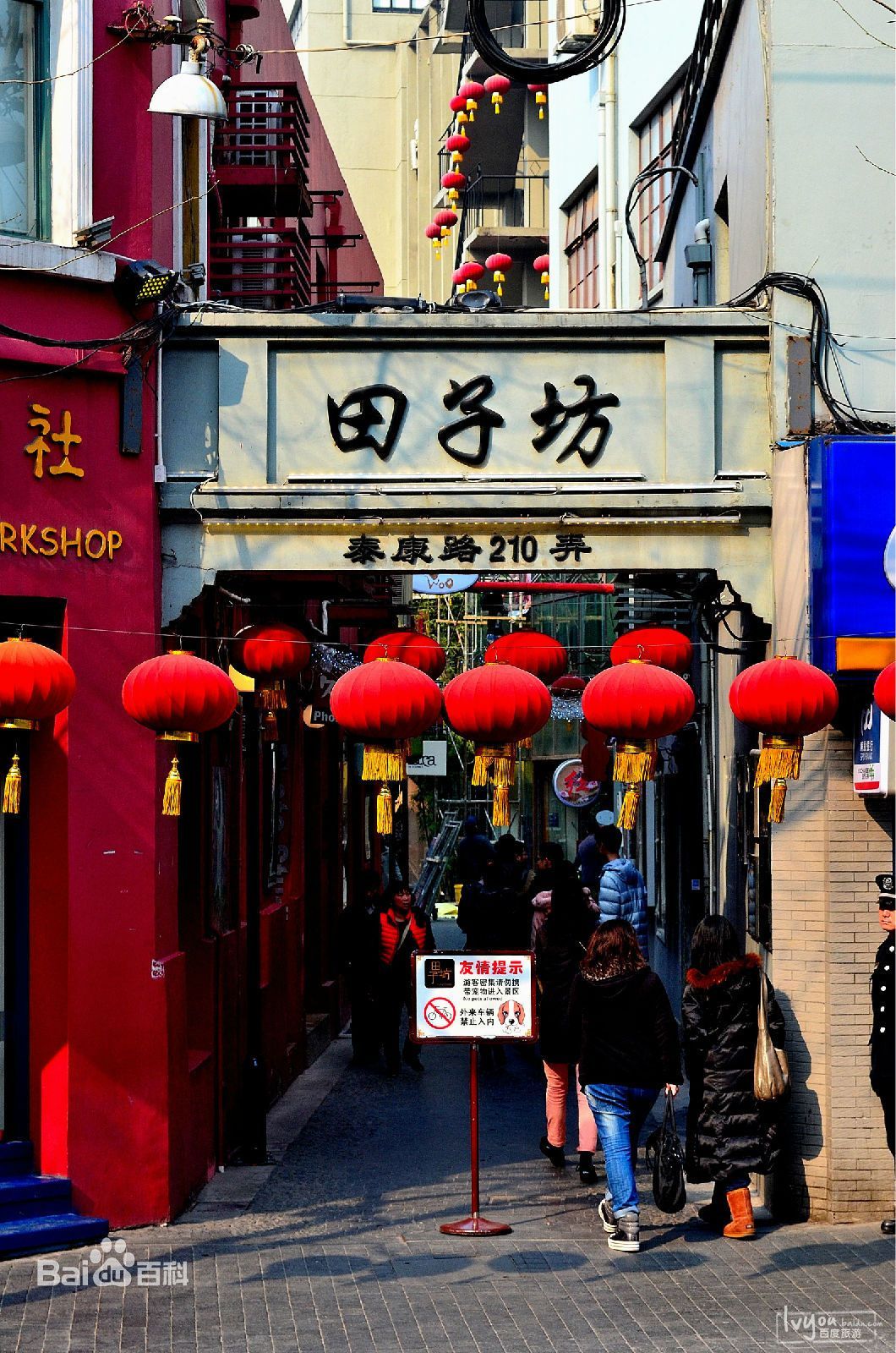 葉周:故土上畫出更靚麗的圖畫-字遊文化