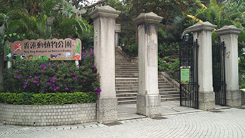 楓香和鐵芒萁-字遊文化