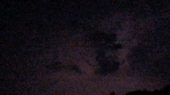 李宛妲:我想住進雨林-字遊文化