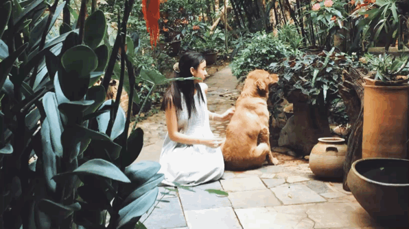 李宛妲:我想住進雨林-字遊文化