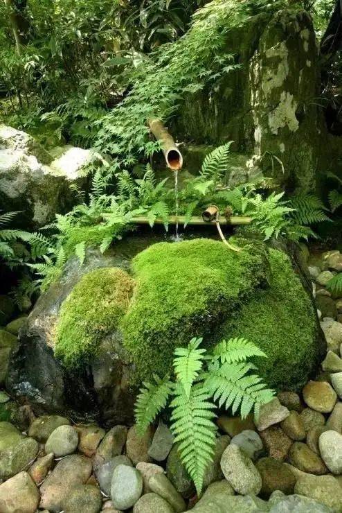 日本最美庭园：足立美术馆-字遊文化