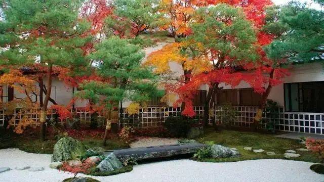 日本最美庭园:足立美术馆-字遊文化