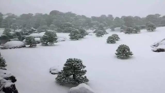 日本最美庭园:足立美术馆-字遊文化