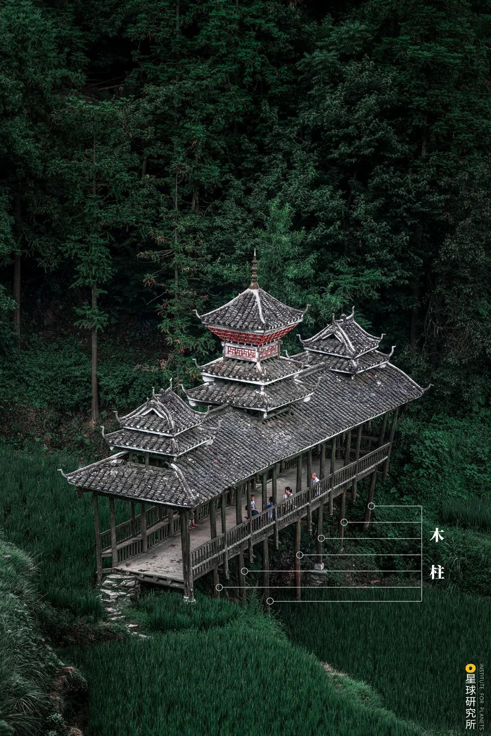 中國古橋,有多美?-字遊文化