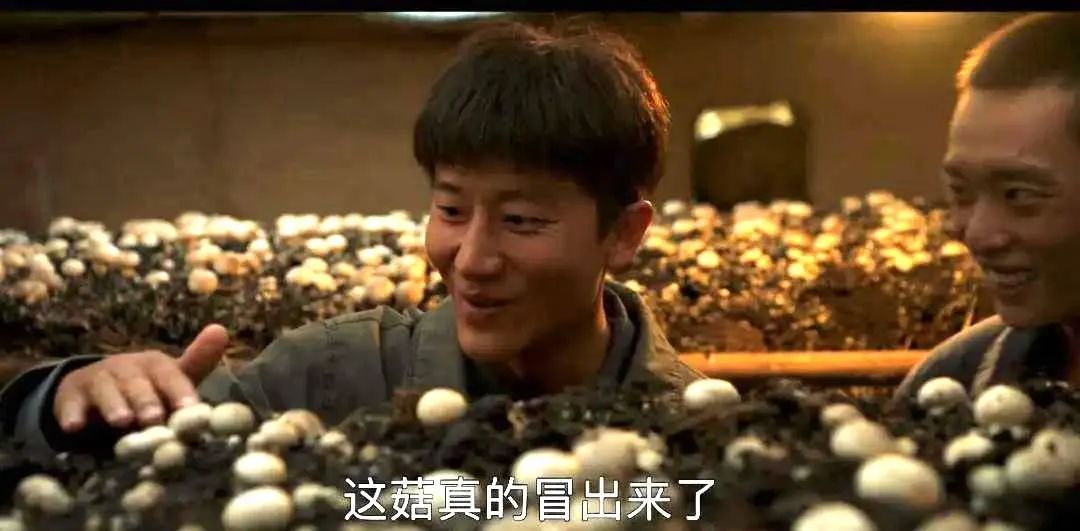 中國最沒存在感的省份,裝得下山海情-字遊文化