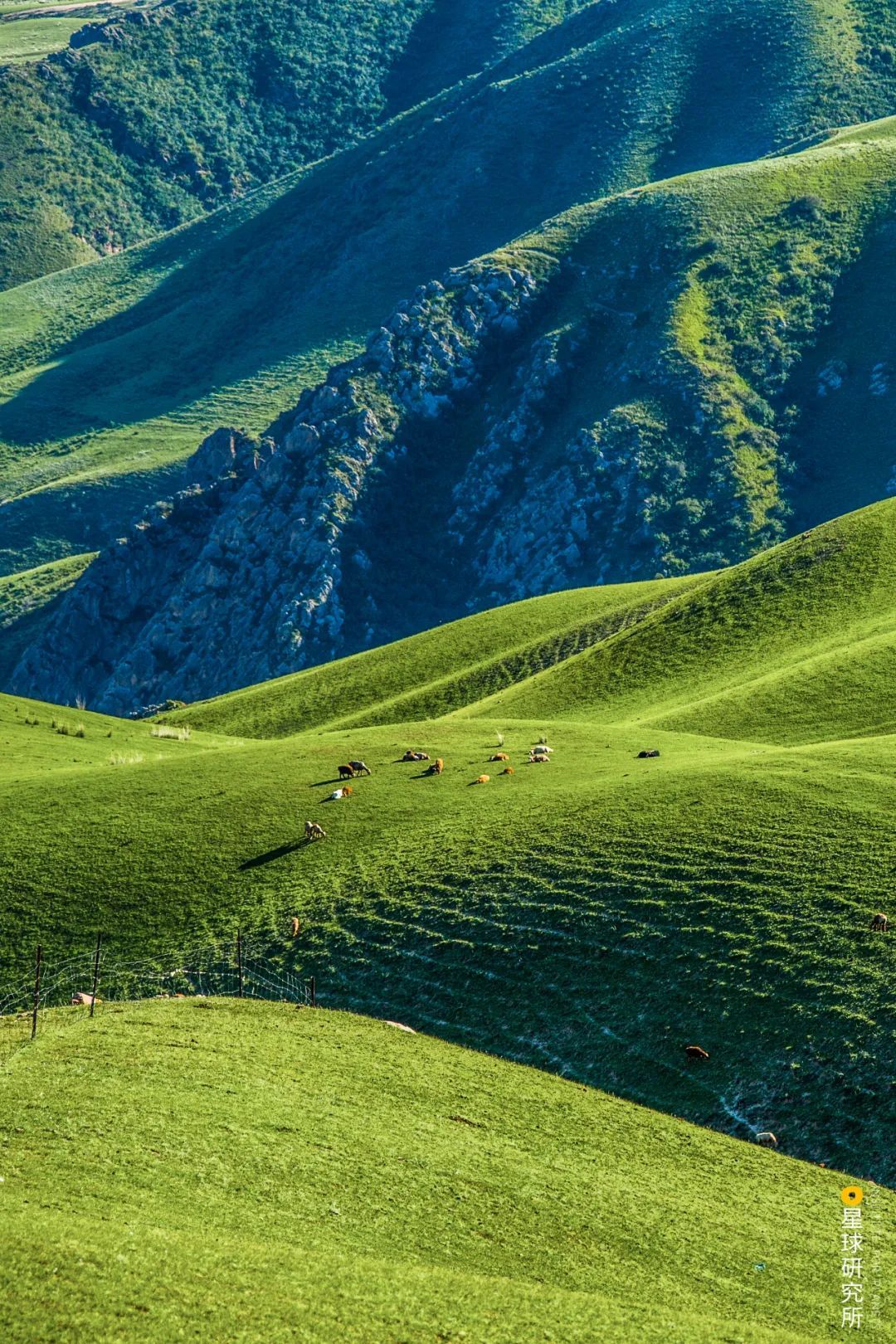10%的中国风景-字遊文化