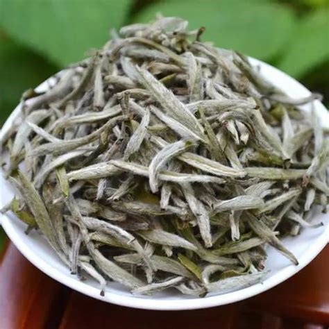 從新春奉茶談起-字遊文化