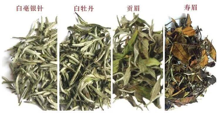 從新春奉茶談起-字遊文化