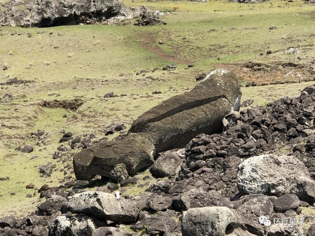 人類社會崩潰案例:復活節島是如何坐吃山空的-字遊文化