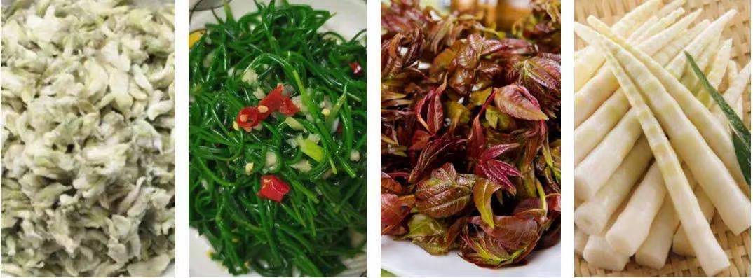 春天有野菜吃,我都可以不吃肉!-字遊文化