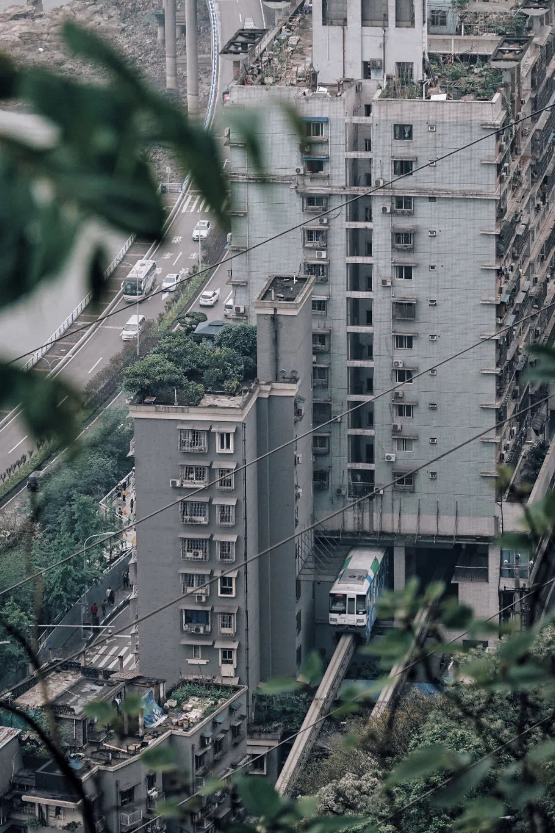 況且況且況且……開往春天的綠皮火車來了!-字遊文化