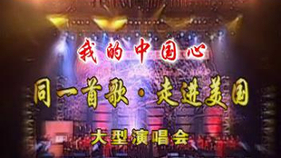 回眸往昔歲月:那些明星呵......-字遊文化