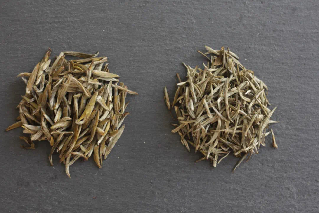 茉莉花茶裏到底有沒有茉莉花?-字遊文化