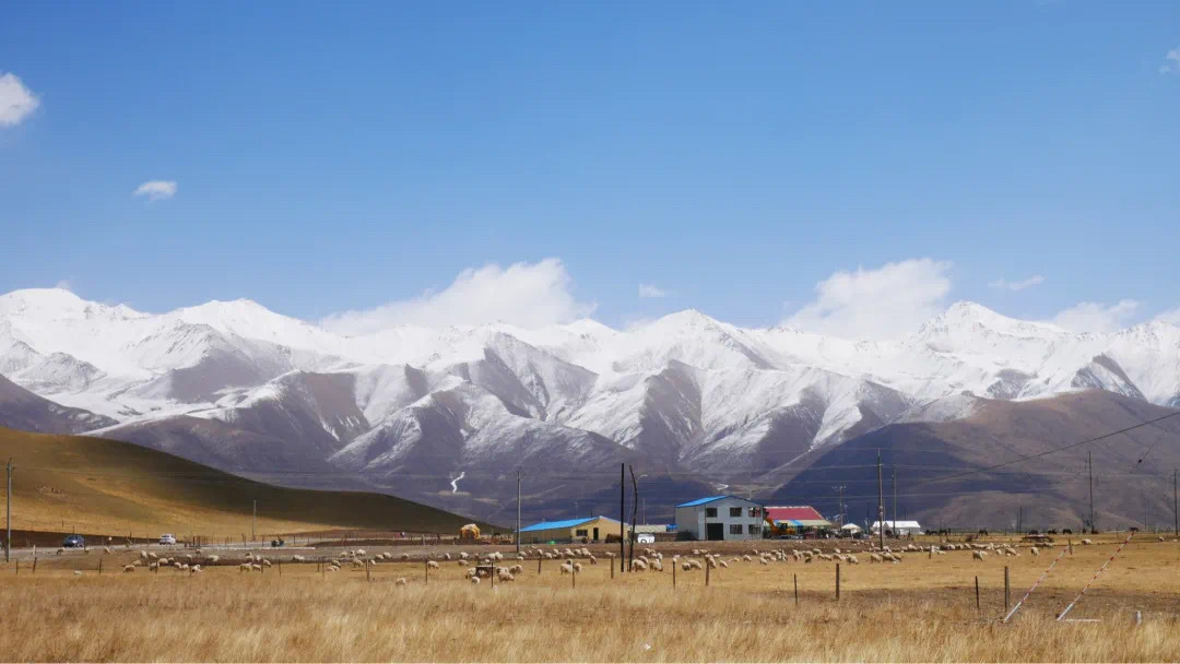 去一次西北大環綫,能看到多少地質奇境?-字遊文化