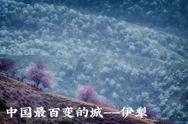 中國最百變的邊陲城市,真被美哭了-字遊文化