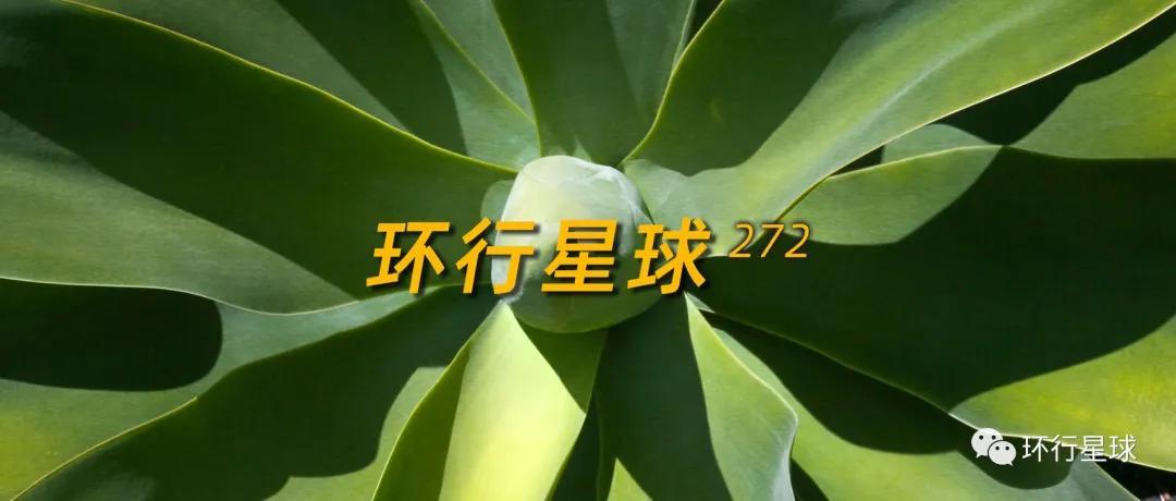 風靡墨西哥的“最純潔飲料”,究竟是什麽?-字遊文化