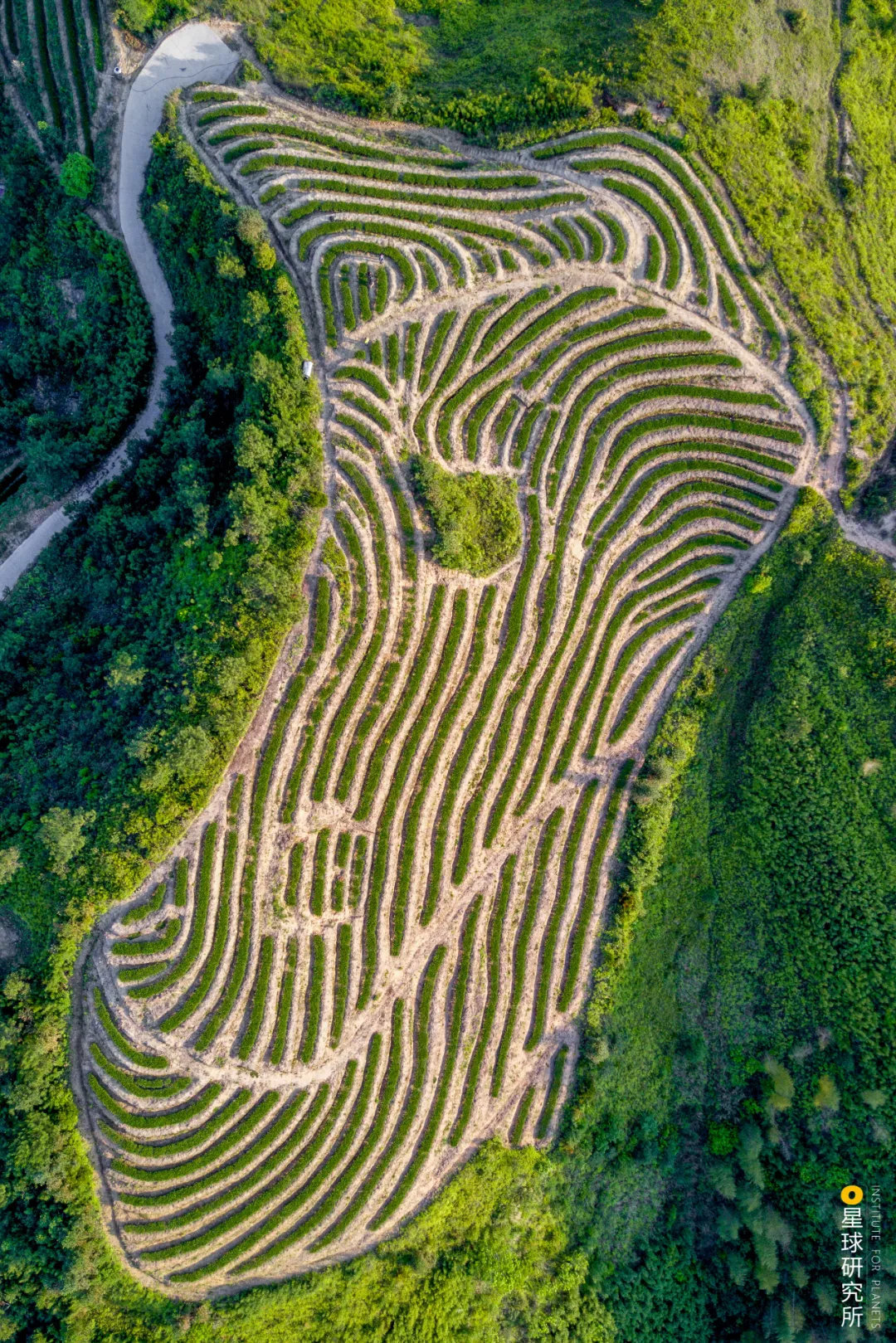 泉州申遺成功,靠的是這些古迹-字遊文化