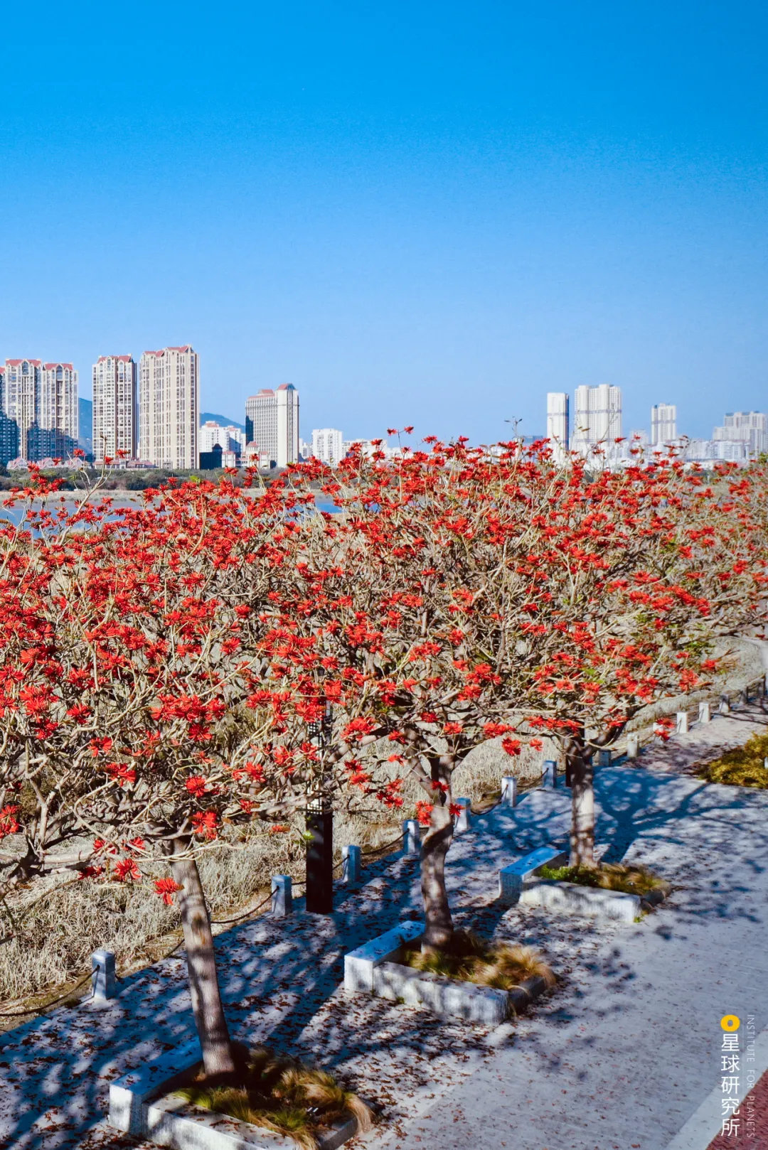 泉州申遺成功,靠的是這些古迹-字遊文化