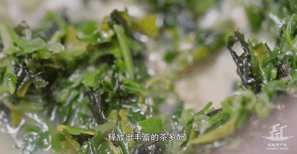 這座被低估的粵北小城,連英國女王都喝它的茶-字遊文化
