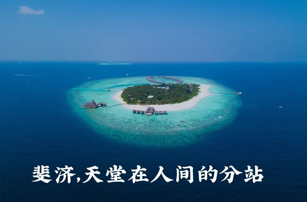 頂流的老網紅國家,是它-字遊文化
