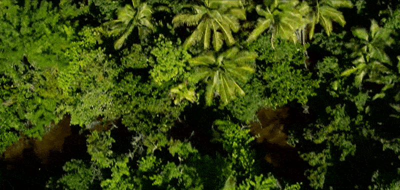 頂流的老網紅國家,是它-字遊文化