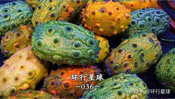 南美奇葩水果大匯總-字遊文化