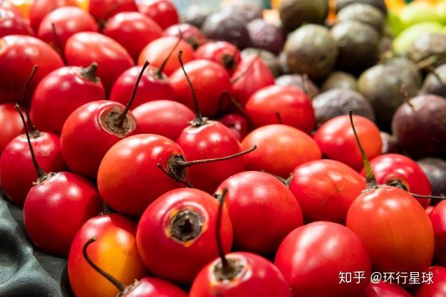 南美奇葩水果大匯總-字遊文化