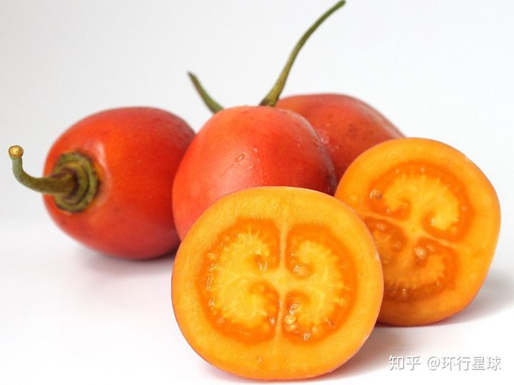 南美奇葩水果大匯總-字遊文化