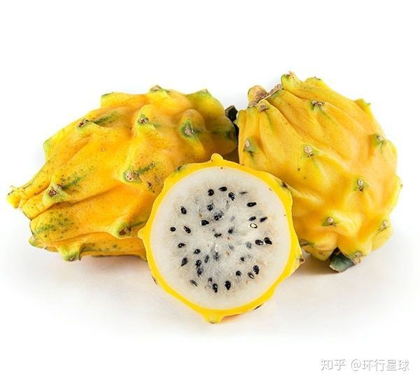 南美奇葩水果大匯總-字遊文化
