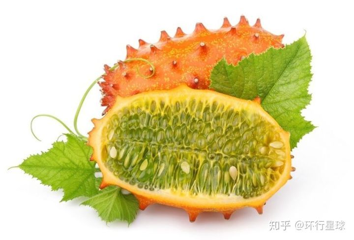 南美奇葩水果大匯總-字遊文化