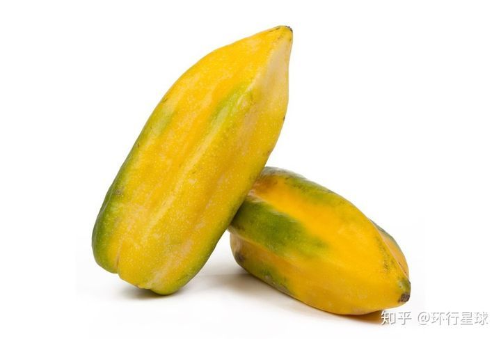 南美奇葩水果大匯總-字遊文化