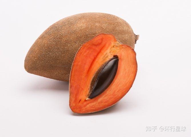 南美奇葩水果大匯總-字遊文化