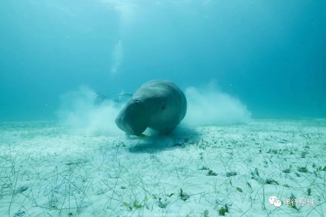 最適合潛水的地方,這裏的水很深...-字遊文化