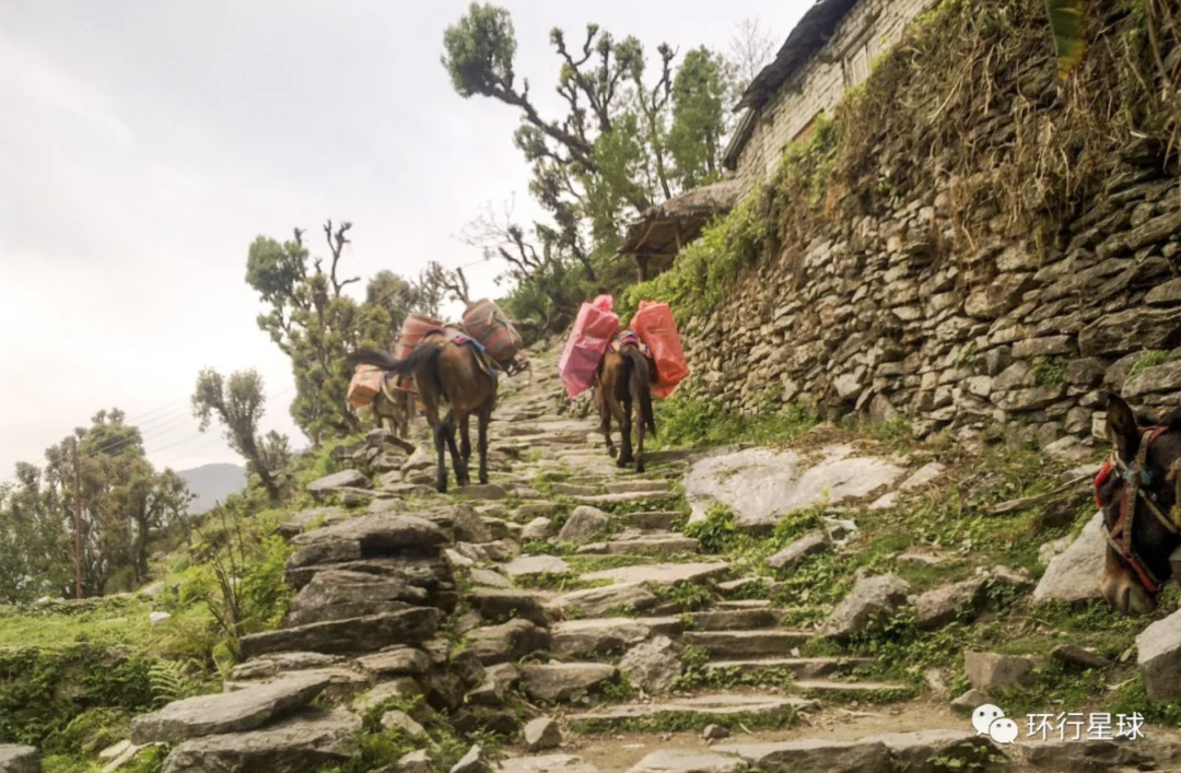 爲什麽有這麽多人痴迷于去尼泊爾爬山？-字遊文化