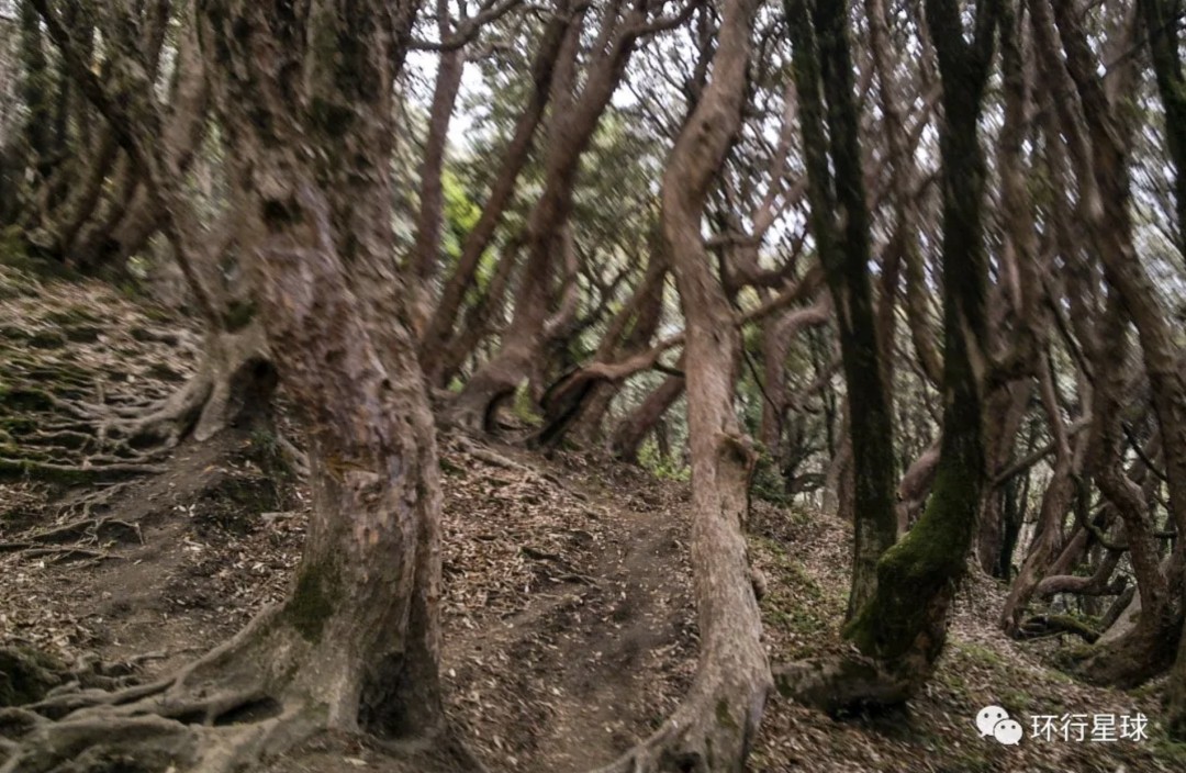 爲什麽有這麽多人痴迷于去尼泊爾爬山?-字遊文化