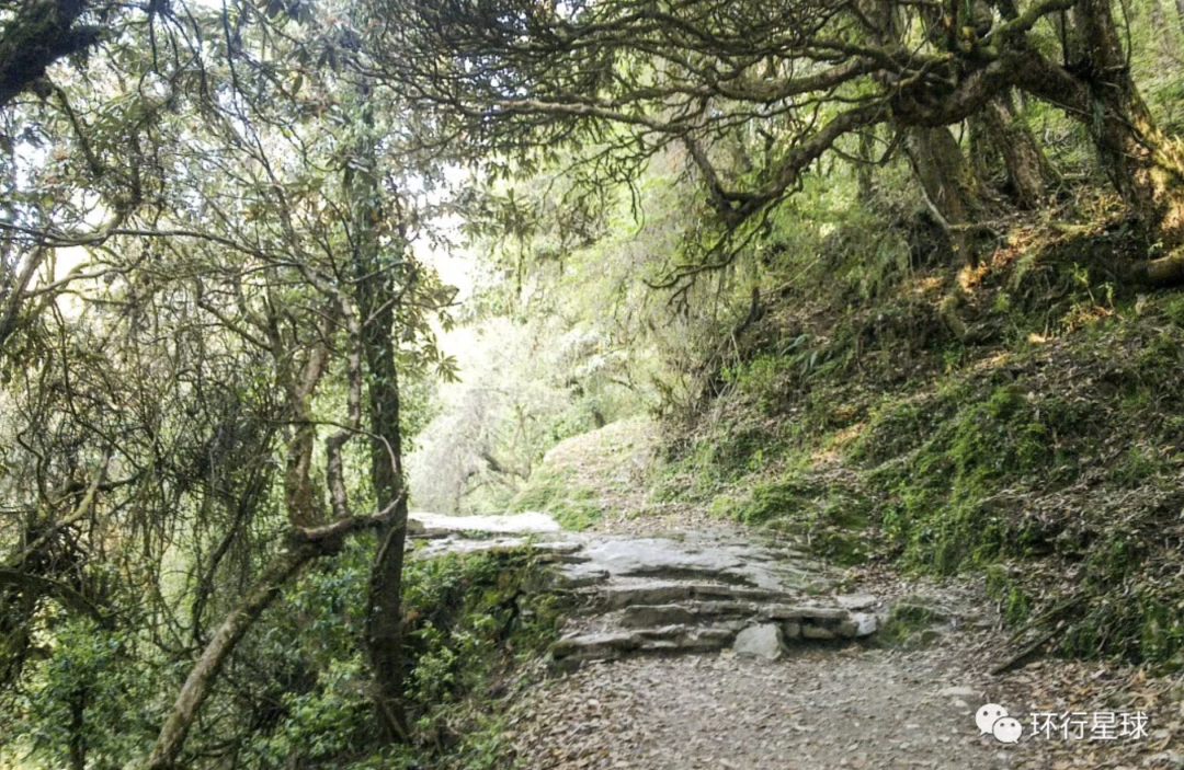 爲什麽有這麽多人痴迷于去尼泊爾爬山?-字遊文化