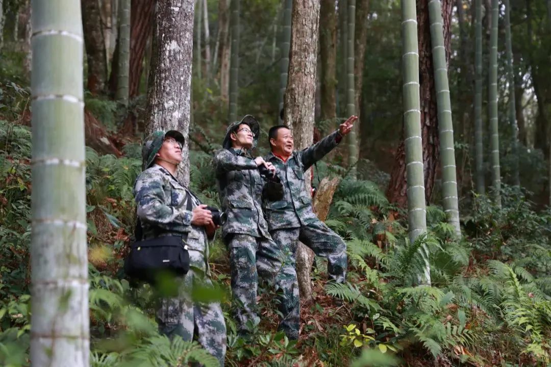 沙縣小吃的故鄉,是福建的“隱藏大佬”-字遊文化
