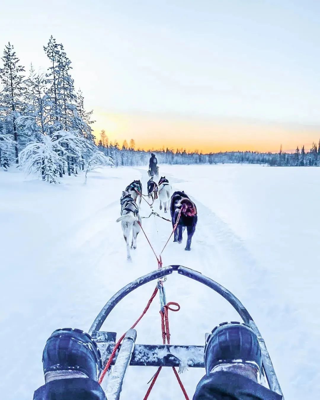 芬蘭：真正的冰雪童話世界-字遊文化