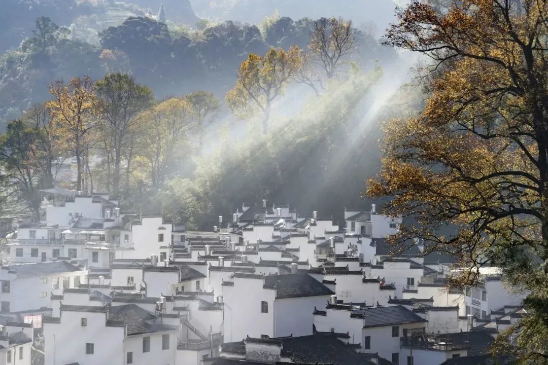 老外瘋狂追捧的景德鎮,除了瓷還有啥?-字遊文化