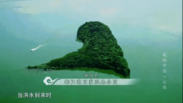 老外瘋狂追捧的景德鎮,除了瓷還有啥?-字遊文化