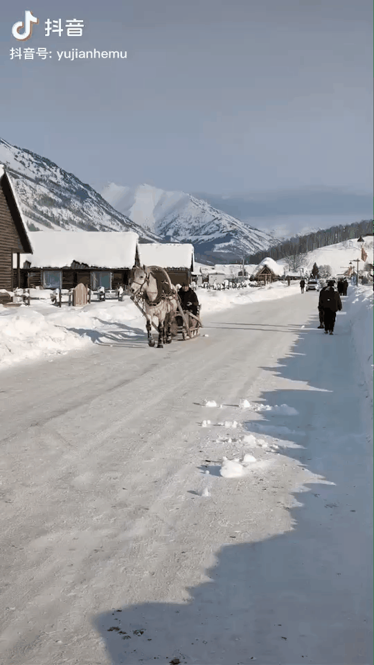 新疆北部這個雪村，火了-字遊文化