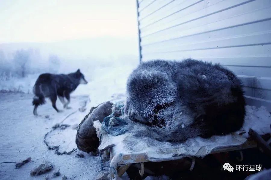 -50℃的俄羅斯,是怎麽生活的?-字遊文化