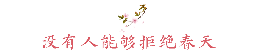花朝節,被遺忘的中國節-字遊文化