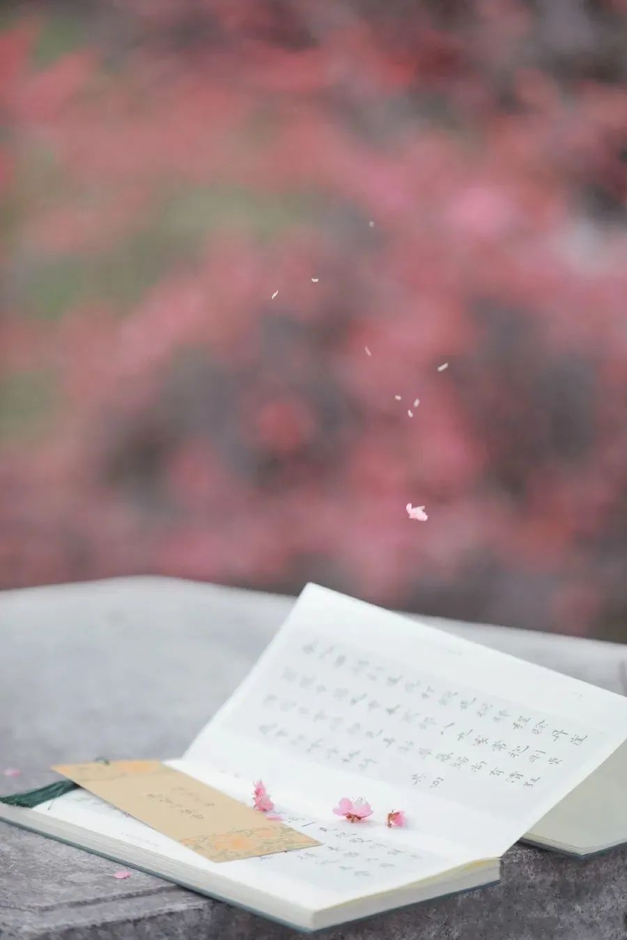 花朝節,被遺忘的中國節-字遊文化