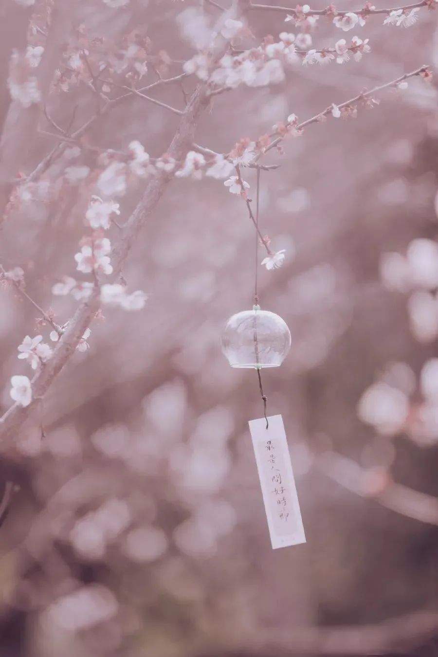 花朝節,被遺忘的中國節-字遊文化
