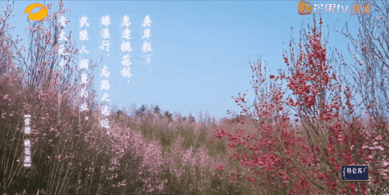 湖南米粉第一城,太像桃花源了吧!-字遊文化