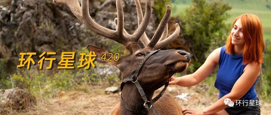 俄羅斯這個地方,遍地馬鹿-字遊文化