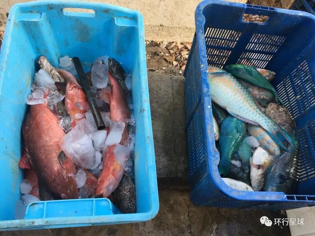 三國交界,海上吉普賽人的生活你想像不到!-字遊文化