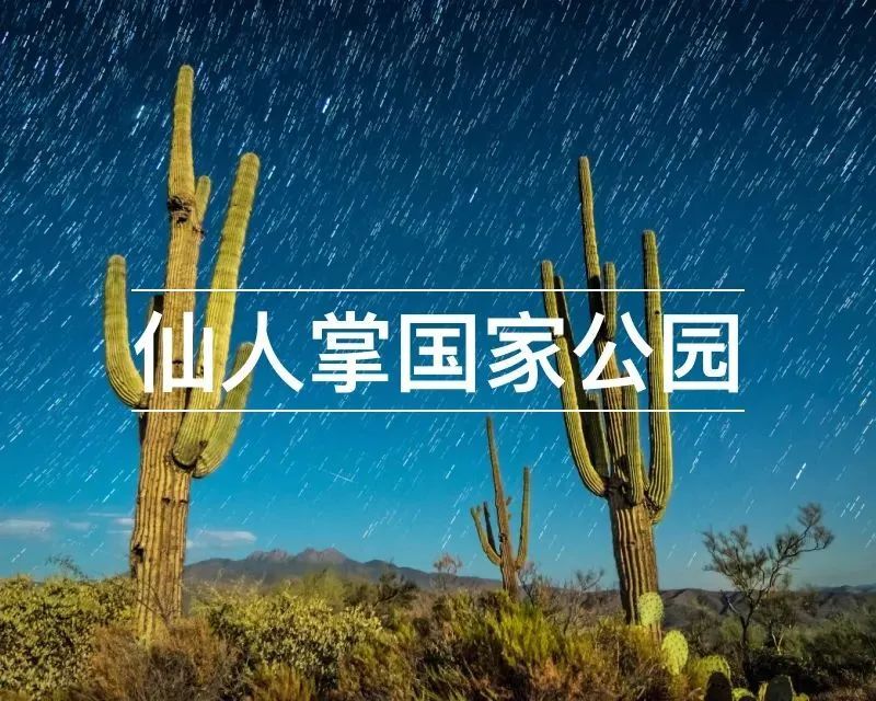 世界最寶藏的植物園,開了我的眼界-字遊文化