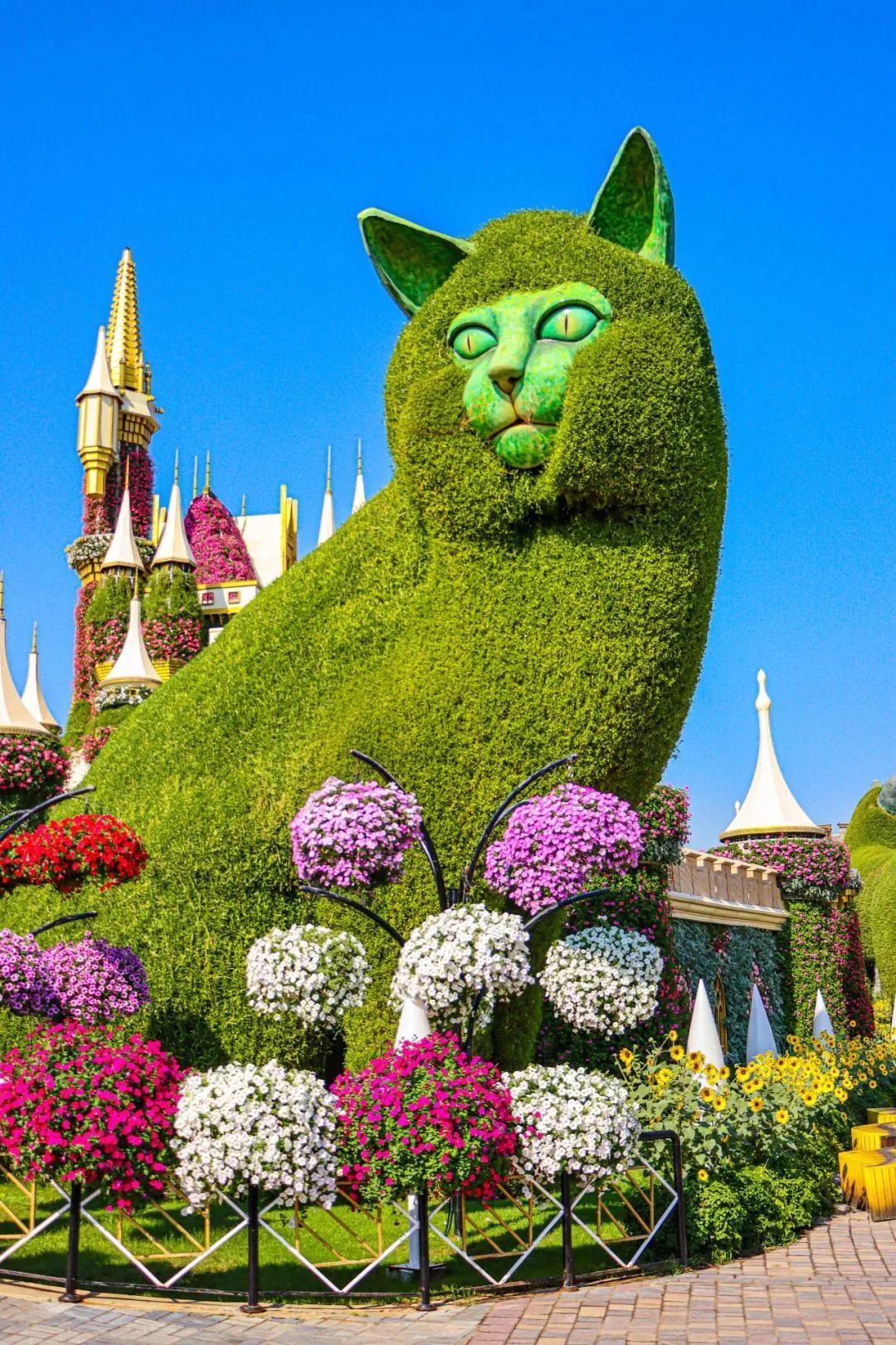 世界最寶藏的植物園,開了我的眼界-字遊文化